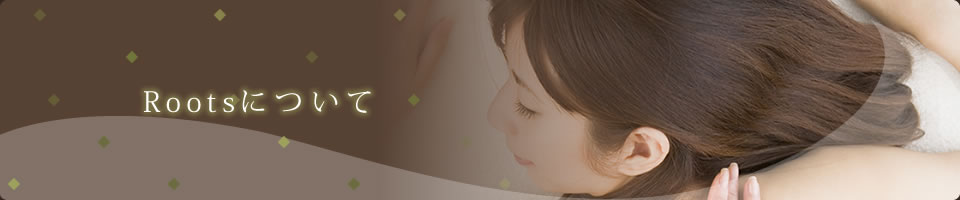 Rootsについて