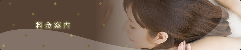 料金案内